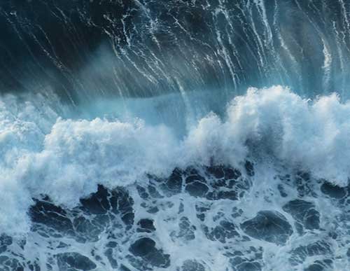 Nature Photography Techniques